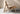 RATTAN CRAFTSMAN Balcony Casual Hunting Chair from RATTAN CRAFTSMAN