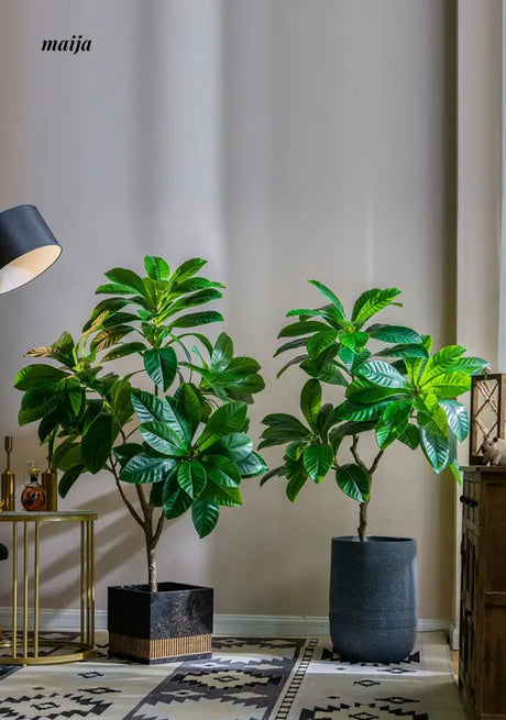 Artificial Loquat Plant from maija