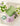 SOREMO Transparent Flower Mug from maija