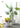 Rocco Nordic Style Gazebo Floor Decor Flower Pot from maija
