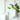 LENYVASEN Aria Wall-Mounted Hydroponic Vase from LENYVASEN