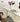 Eva Dining Table from maija