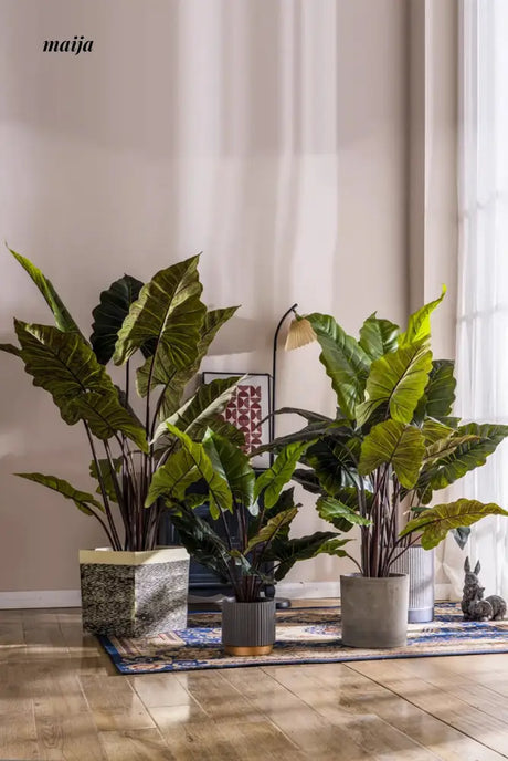 Artificial Rainbow Taro Plant from maija