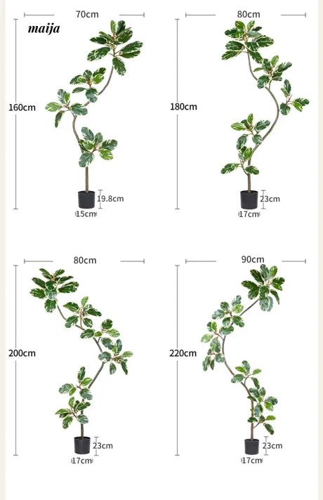 Artificial Golden Banyan Rubber Plant from maija