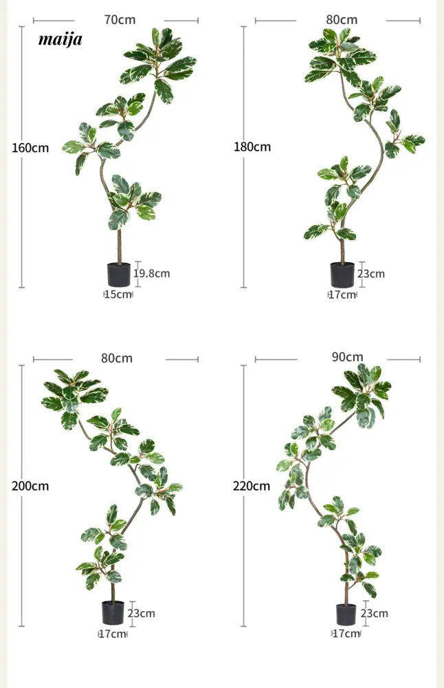Artificial Golden Banyan Rubber Plant from maija
