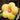 Back Support Flower Cushion from Chushe