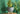 Josie Bloom Floor Flowerpot from maija
