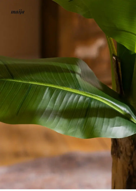 Artificial Large Leaf Banana Tree from maija