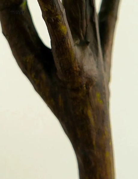 Artificial Fig Plant from Royal Forest