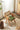 RATTAN CRAFTSMAN Rattan Dining Chair from RATTAN CRAFTSMAN
