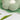 PAPAHUG Plush Pillow Cute Flower Cushion from PAPAHUG