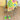 PAPAHUG Non-Slip Carpet for Living Room from PAPAHUG