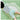 PAPAHUG Soft Reading Carpet for Bed from PAPAHUG