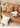 MISTYWOOD Modern Fox Pillow with Raccoon Design from MISTYWOOD