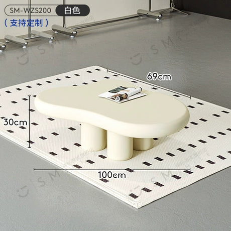 SM Henry Stainless Steel Clothing Hanger Stand from SM
