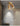 CH LIGHTING Modern LED Spot Light for Corridor from CH LIGHTING