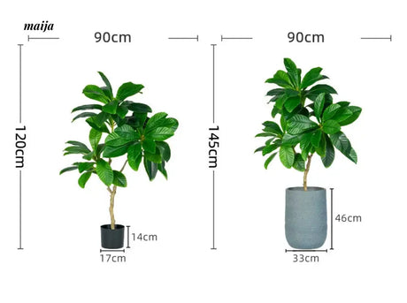 Artificial Loquat Plant from maija