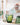 Cactus Mug from Jisu