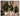 Artificial Rubber Plant from maija