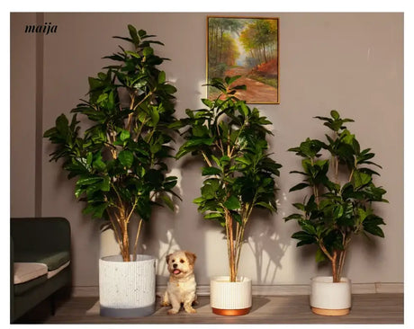 Artificial Rubber Plant from maija