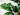 Artificial Monstera Plant from maija