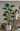 Artificial Monstera Plant from maija