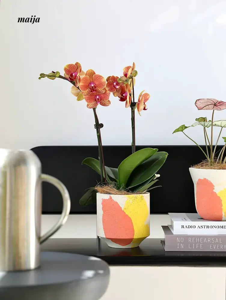 KERRY Handmade Abstract Colour Splash Flower Pot from maija