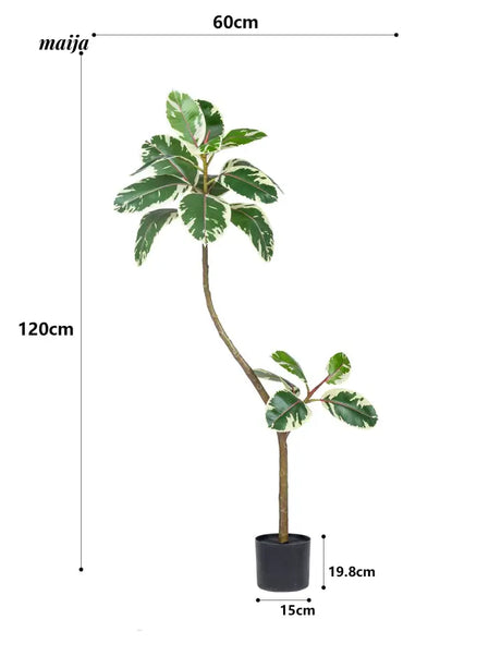 Artificial Golden Banyan Rubber Plant from maija