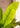 Artificial Large Leaf Banana Tree from maija
