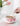 LIVETAI Cute Ceramic Coffee Set with Bow from maija