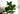 Artificial Fig Plant from Royal Forest