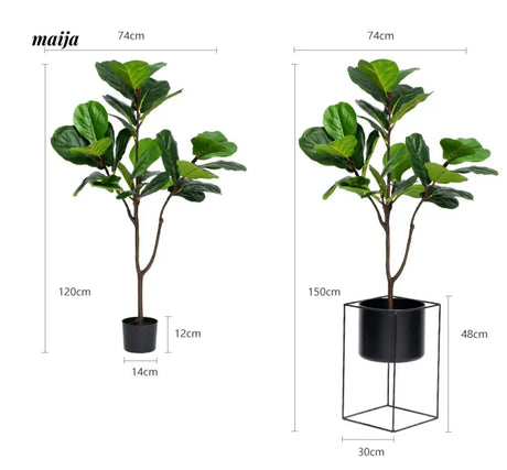 Artificial Fig Plant from Royal Forest