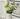 BANKE Retro Jewelry Hydrolate Brand Decorations from BANKE