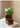 GUIFOU Square Glazed Green Vase from GUIFOU