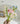 LIVETAI Creative Assembly Toy Flower from maija