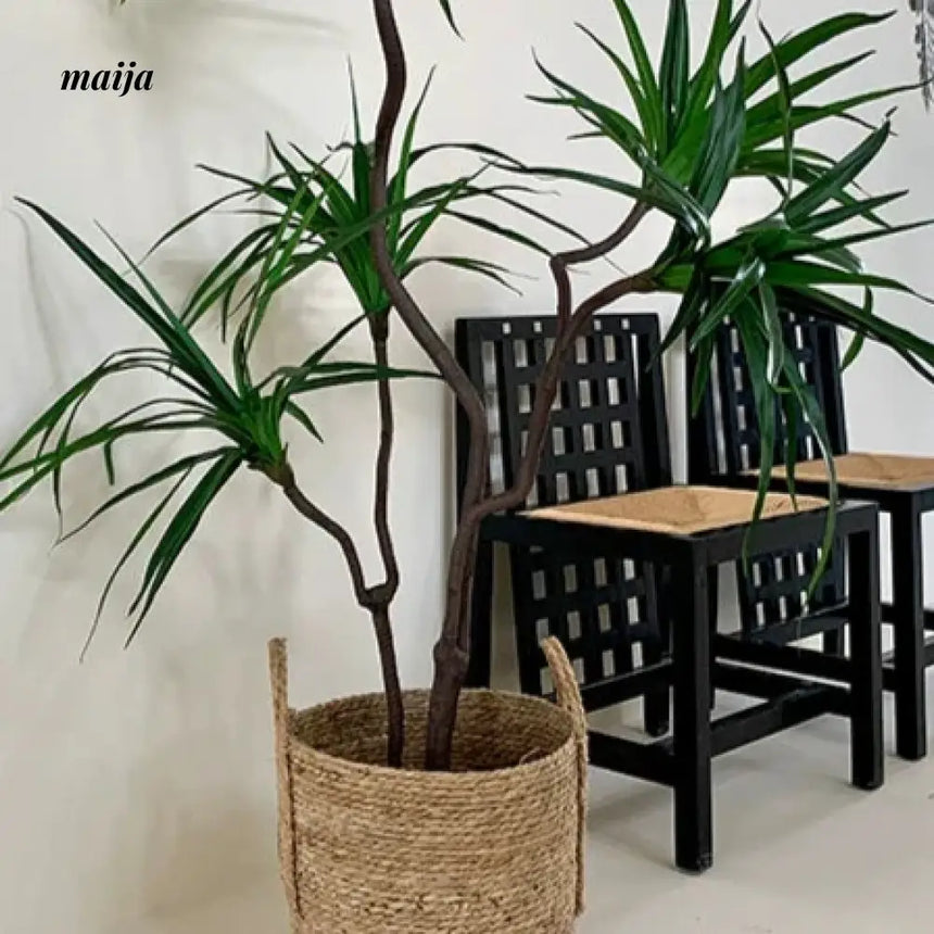 LOU Monkey Head Fern Artificial Plant from LOU