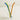WII Strawless Lead-Free Heat-Resistant Glass from WII