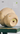 CIIREALS Fish Eye Candy Ceramic Planter from CIIREALS