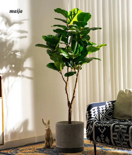 Artificial Fig Plant from Royal Forest