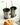 BANKE Scandinavian Coffee Milk Tea Glass Cup from BANKE