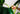 Artificial Monstera Plant from maija