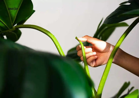 Artificial Monstera Plant from maija