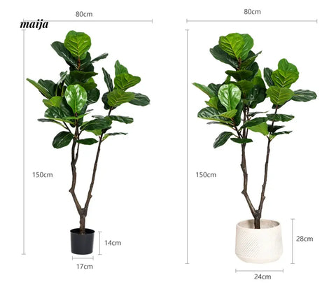 Artificial Fig Plant from Royal Forest