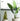 Josie Bloom Floor Flowerpot from maija