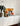 COLOURHUNTER Geometric Color Block Decorative Painting from maija
