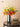 LIVETAI Minimalistic Glossy Flower Vase from maija