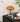 Pumpkin Lamp from maija