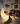 ALISA Elysa Moon Outdoor Lamp from ALISA