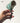 SOFTSERVE Natural Conch Shell Wine Stopper from softserve
