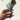 SOFTSERVE Natural Conch Shell Wine Stopper from softserve